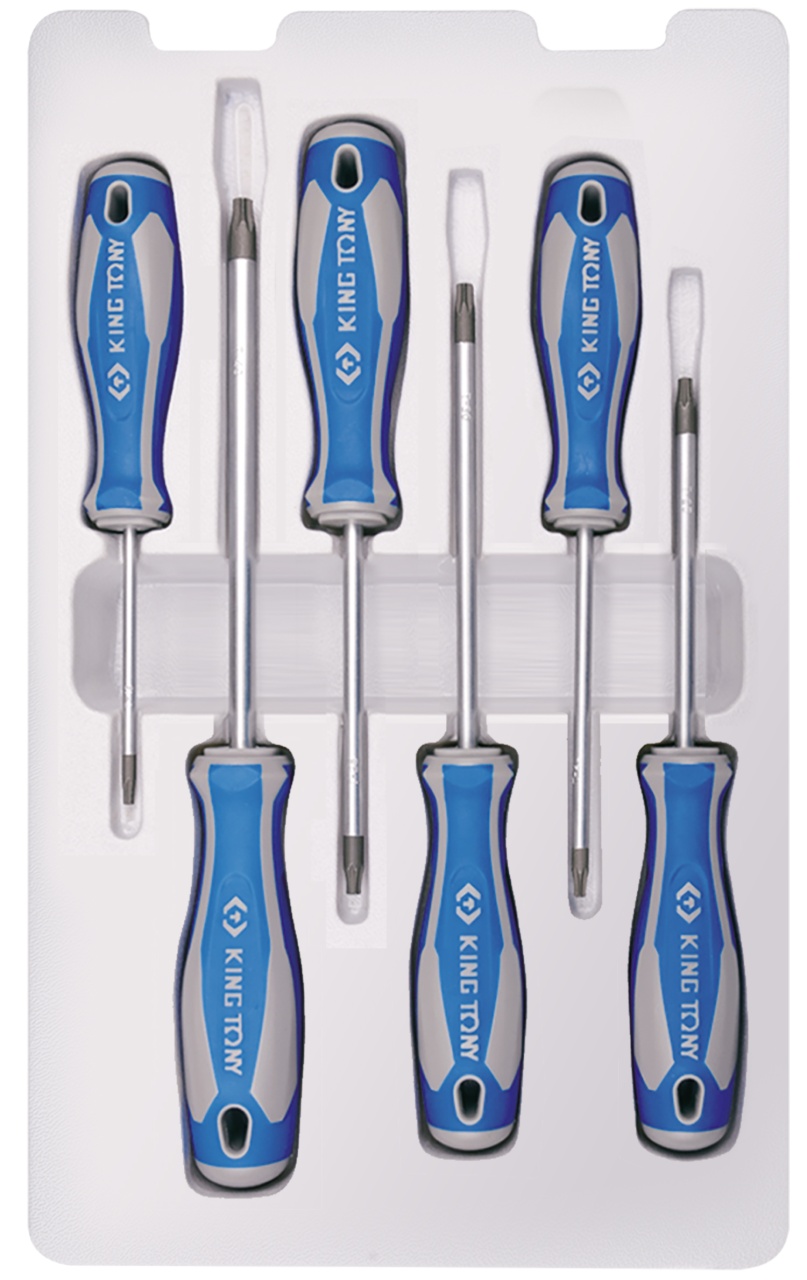  ,Torx, 6  KING TONY 30316PR
